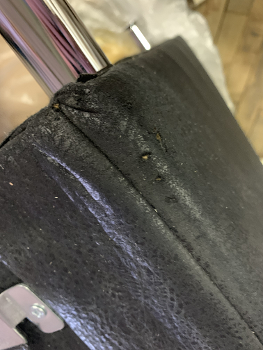 Infinity LS 670517 Preggio PP-LA16029 SC Nature 1018 MM-PP1058Lagerware